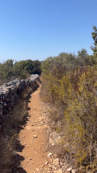 BALADE sur les îles Paklenis