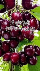 #ماشاءاللہ #بہت خوب