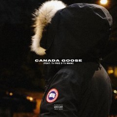 Young$itoz - Canada goose (feat. Tj Friz & Mani)