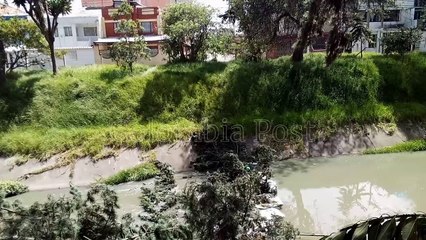 CAE ÁRBOL EN LA RONDA  DEL RÍO  FUCHA BARRIO REMANSO PUENTE ARANDA