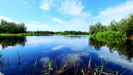 Amazing Nature River Wind