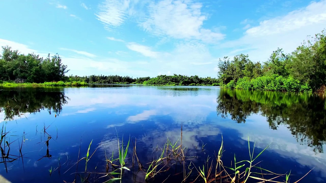 Amazing Nature River Wind