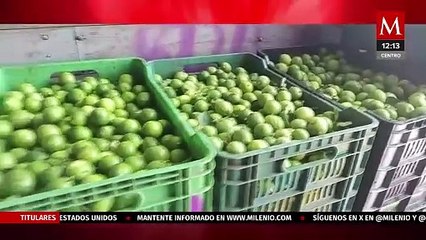 Se dispara precio del limón 71.24% tras paro de empacadoras en Michoacán