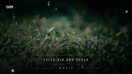 Turkish Instrumental  - Evlerinin Önü Yonca Ender Güney (Official Audio)
