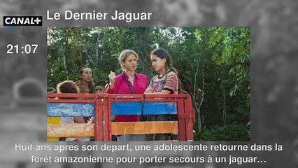 Programme TV soirée du Vendredi 23 août 2024