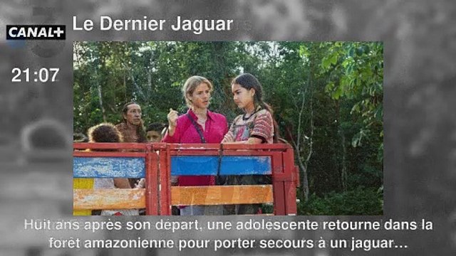 Programme TV soirée du Vendredi 23 août 2024