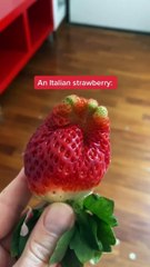 See how nature created a beautiful strawberry 