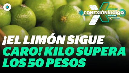 Precio del limón se eleva a causa del paro de empacadores en Michoacán | Reporte Indigo