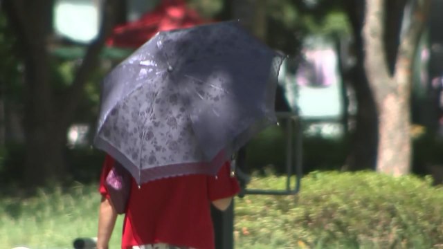 [날씨] 서울 총 열대야 일수 '역대 1위'...낮에도 찜통더위 / YTN