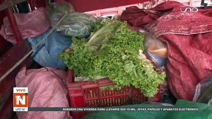 500 ¿Qué hacer con 500 kg de carne en descomposición? 🛑