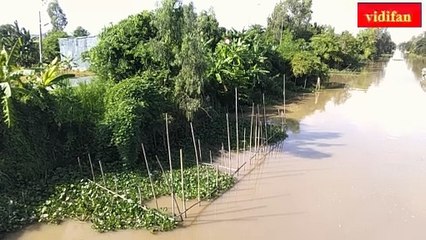 水 - ماء - पानी - eau - agua - water