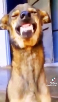 Here are a few funny video upload title ideas: 1. When Life Gives You Lemons... Watch This! 2. Epic Fails and LOLs: You've Been Warned! 3. Proof That Laughter Is Contagious 4. Try Not to Laugh (But You Totally Will) 5. I Can't Believe This Happe