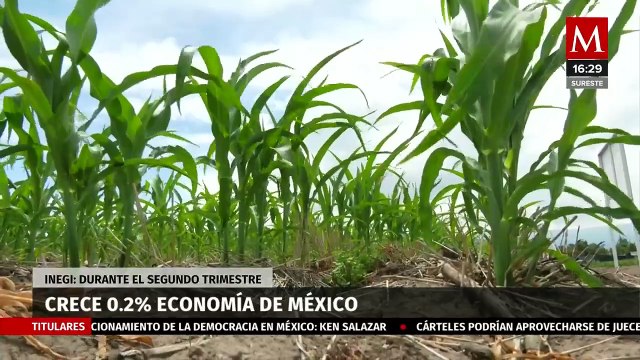 El PIB registró un incremento del 0.2% en el segundo trimestre del año, según el Inegi