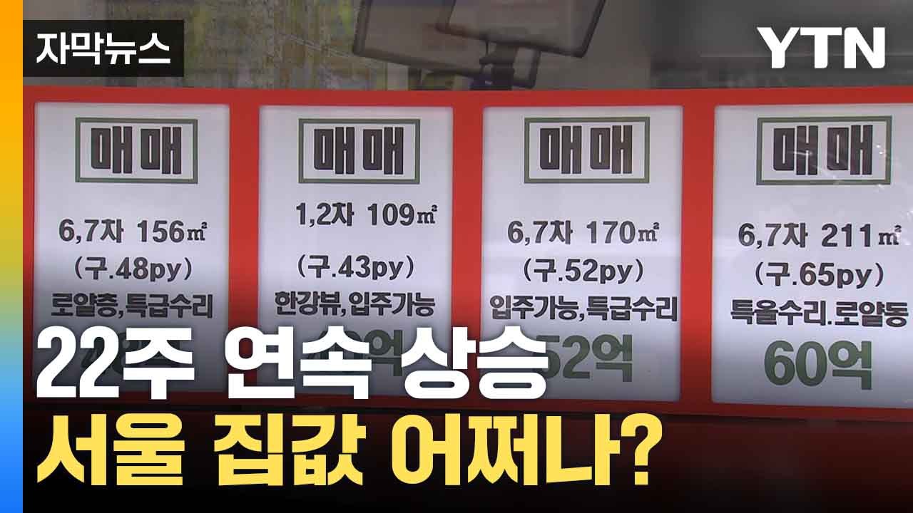 [자막뉴스] 22주 연속 오른 서울 아파트 값... 신축매입임대로 잡을 수 있을까?...