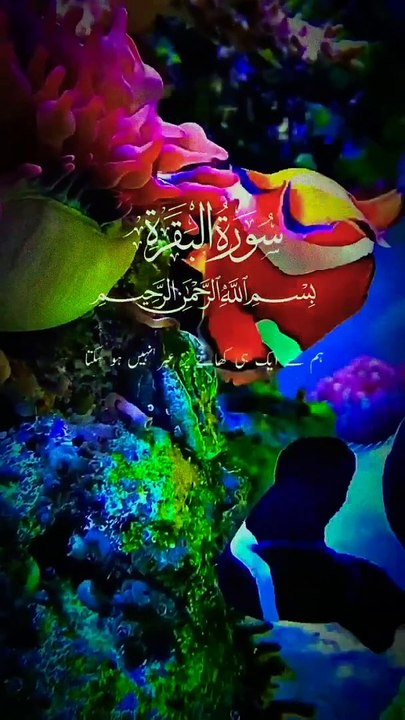 Surah Al Baqarah verses 60-61 Urdu tarjama Short Quran Video _shortvideo _youtubeshort _shorts(720P_HD)