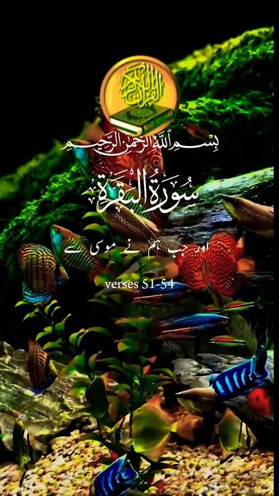 Surah Al Baqarah verses 51-54 Urdu Shorts video _youtubeshorts _shorts _shortvideo(720P_HD)