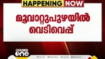 മൂവാറ്റുപുഴയിൽ യുവാവ് സഹോദരനെ വെടിവെച്ചു; വയറിന് പരിക്ക്