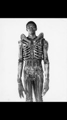 Celebrity Birthdays Wishes August 23rd 2024 Bolaji Badejo