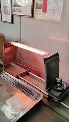 Power-on test: 220v 1000w Clear Carbon Fiber Far Infrared Heat Lamp
