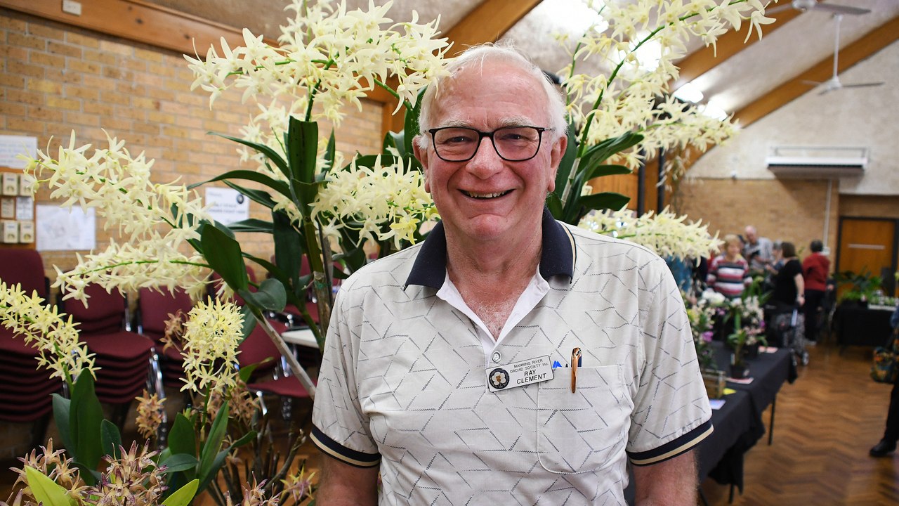 Taree Orchid Show 23.08.24
