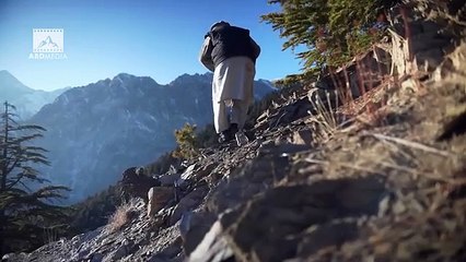 Markhor Documentary I Wildlife Documentary