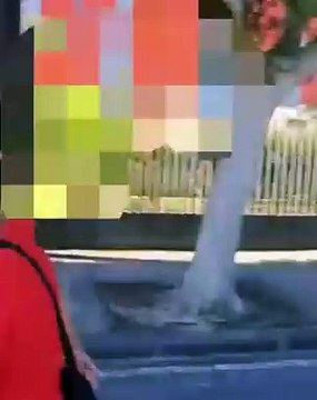 «Mi ha rotto l’autobus...»: autista dell'Atm di Messina insegue l'autore di un gesto vandalico e lo filma