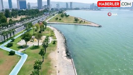 İzmir Körfezi'ndeki balık ölümlerine inceleme başlatıldı