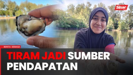 Tiram jadi sumber pendapatan keluarga