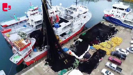 Karadeniz'de balıkçılar av sezonuna hazırlanıyor