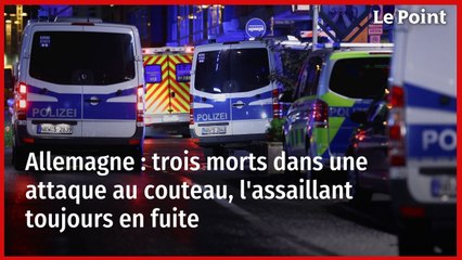 Allemagne : trois morts dans une attaque au couteau, l'assaillant toujours en fuite  