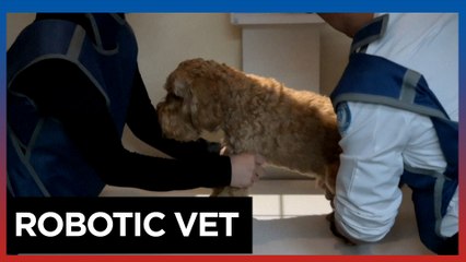 South Korean pet care embraces AI