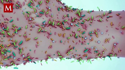 Tailandia detecta primer caso de Mpox Clado 1b en paciente europeo