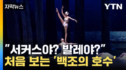 [자막뉴스] "왕자 머리 위에서 춤추는 공주?" 탈바꿈한 '백조의 호수' / YTN