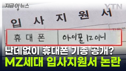 입사지원서 보고 '이럴 수가'...문해력 논란 확산 [지금이뉴스]  / YTN