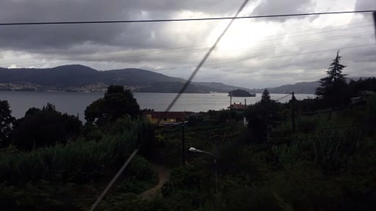 IMG_0791 VIGO
