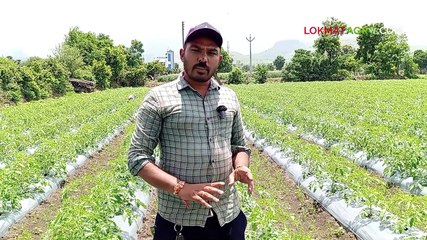 लानेव्हो कीटकनाशक वापरून शेतकऱ्याने साधली समृद्धी  Final Cut_2