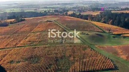 Top Listings Cheap Land for Sale in Oregon – Find Your Perfect Plot!