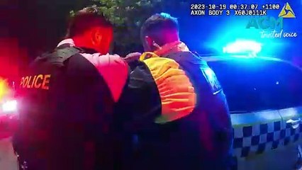 'Cowering' man Tasered after police chase