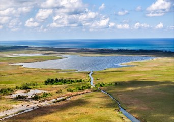 Amazon kadınları burada hüküm sürdü! Amazon Tabiat Parkı'ndan muhteşem görüntüler