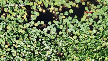 Kırkgöz kurudu, şehre verilen su durdu