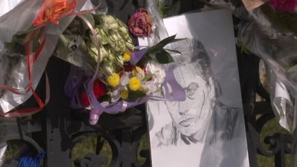 “Mon deuxième papa” : des fans traversent la France pour un dernier hommage à Delon