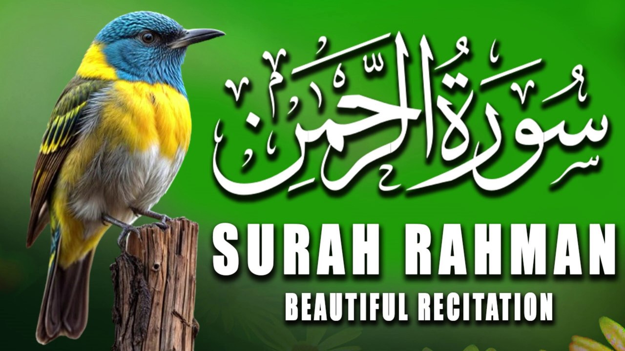 Soothing Recitation Surah Ar Rahman | سورة الرحمن  |Most Beautiful Recitation |Tilawat E Quran |Quran