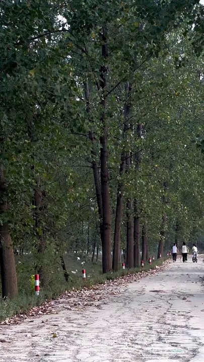 How to describe the atmosphere of this country road