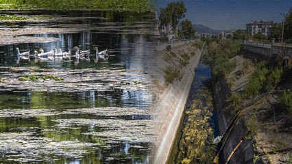 Antalya'ya su veren Kırkgöz kurudu; şehre verilen su durdu