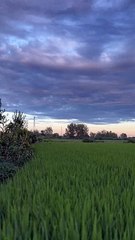 This summer is coming to an end soon