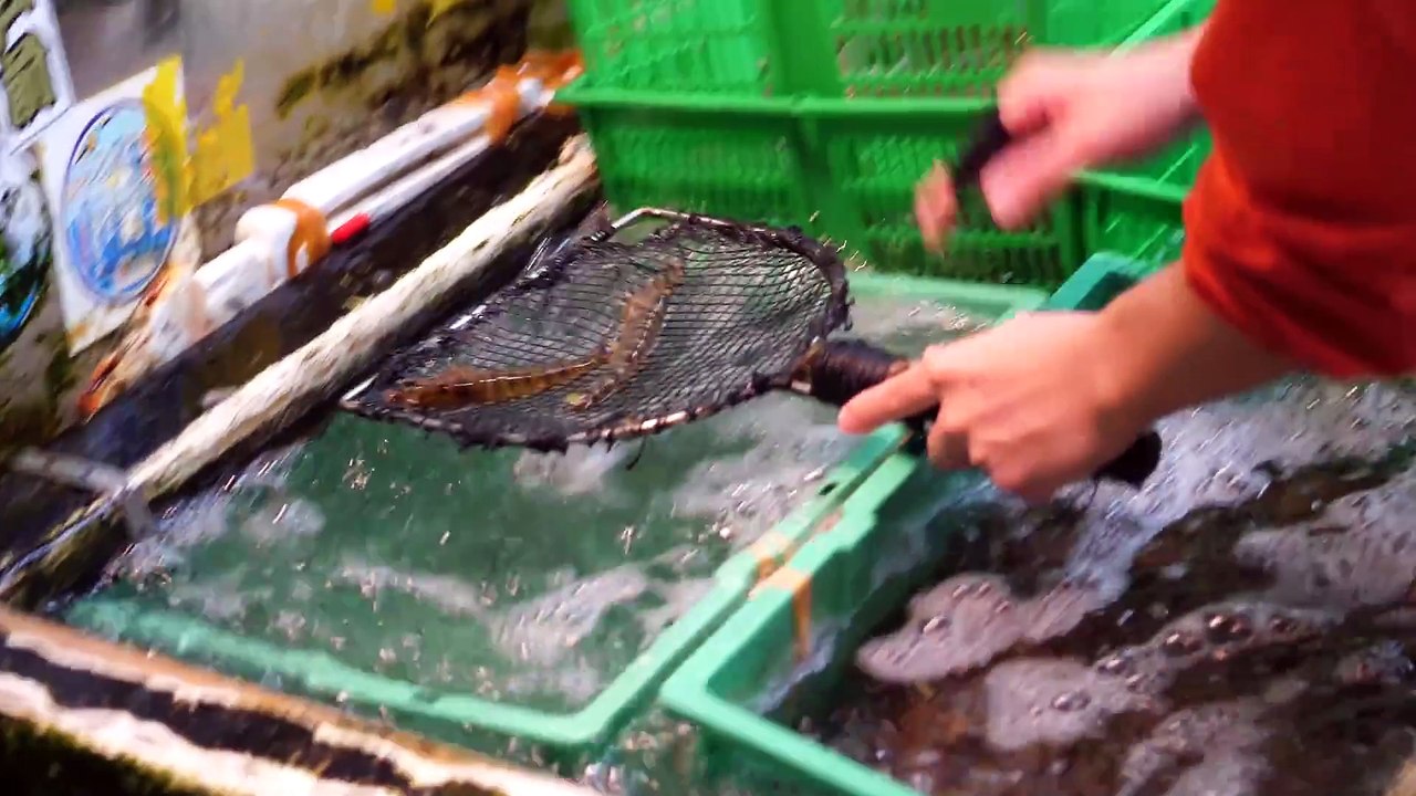 Best Sushi in Japan - Tsukiji Fish Market to $300 HIGH-END SUSHI in Tokyo! - Japanese Food