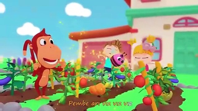 Renkleri Öğrenelim KIRMIZI BALIK Sarı, Mavi Hayvanlar Şarkıları Çocuklar için Eğitici Şarkılar