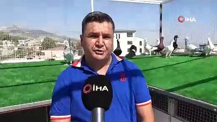 Çocukluk hayali için memurluğu bıraktı: Tanesini 750 bin TL'den satıyor