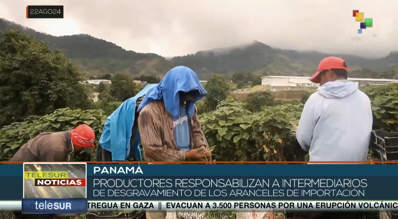 Productores panameños en alerta ante desgravación arancelaria del tratado comercial con EE. UU.