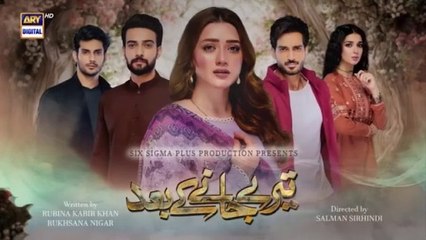 Teray-Janay-Kay-Baad-Episode-18